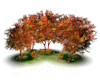 romantic garden automne
