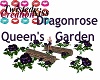 Dragonrose Queen Garden