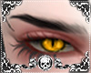 black simple brows.