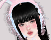 HK🐰Bunny ears V.2