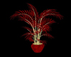 Red & Gold Palm