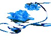 rose bud blue