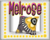 melrose pillow
