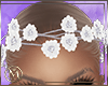 ℳ▸Flowers Hair