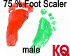 KQ 75 % Foot Scaler male