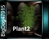[BD]Plant2