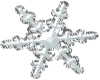 Small Snowflake Sticker