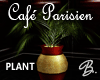 *B* Cafe Parisien Palm