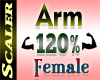 Arm Resizer 120%