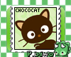Chocolat Cat