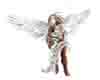 cupido wings white