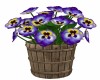 Violet Flower Bucket