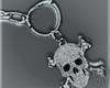 Icy Skull Chain