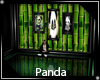 Panda Small Room