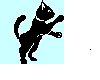 Lill black cat (moves)