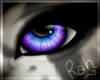 ~R~ Galaxy Eyes