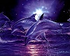 Purple Dolphin Fountain