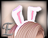 -E- Bunny Ears