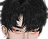 SN l Mansik Black