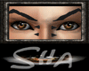 [SHA] Nuts Eyes