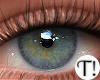 T! Beauty Eyes 4