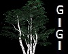 GM tree w lights w Birch