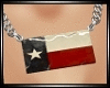 Lone Star/Texas Necklace