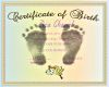illest Birth Certificate