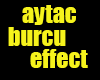 AYTAC BURCU