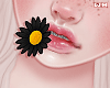 w. Black Flower in Mouth