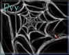 Sexy Spider Web Top