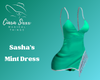 Sasha's Mint Dress