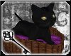 !PD! Black Cat Animated