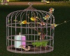 TROPICAL CANARY CAGE
