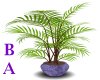 [BA] Purple Vase Plant