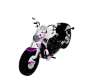 DemiSexual Motorcycle
