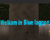 welkom in blue lagoon