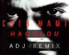 Cheb Mami- Haoulou Remix