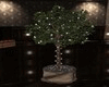 ~R~Tree W / L  Animated