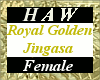 Royal Golden Jingasa - F