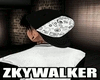WEBCAP-Zkywalker