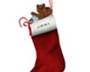 Jani Christmas sock