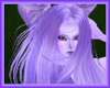 Lavender Drusilla