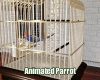 My Parrot (Animated)