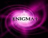 PRO LIGHTS ENIGMA
