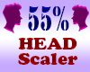 Resizer 55% Head