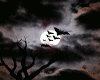 Spooky Halwn Background