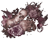 ~pink skulls~