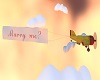 MARRY ME PLANE BANNER AN