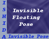 Invisible Floating Pose